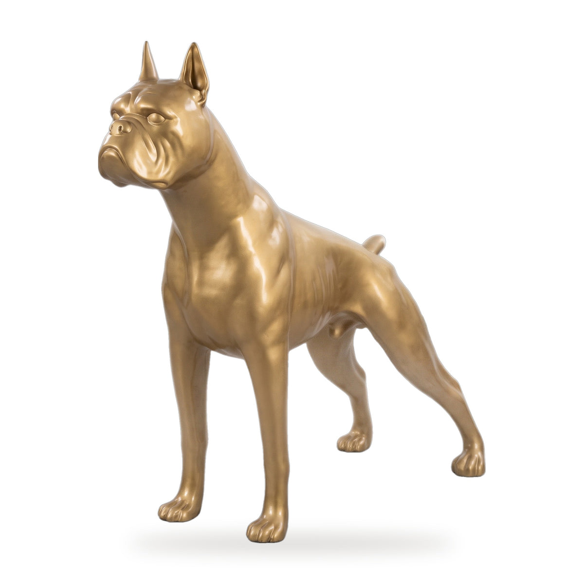 Riesige XXL Boxer Skulptur Gold 190 x H. 173 cm - Wetterbeständige Deko Gartenskulptur - Gartendeko Tierfigur Hunde Skulptur Hund (KI weiss) 1