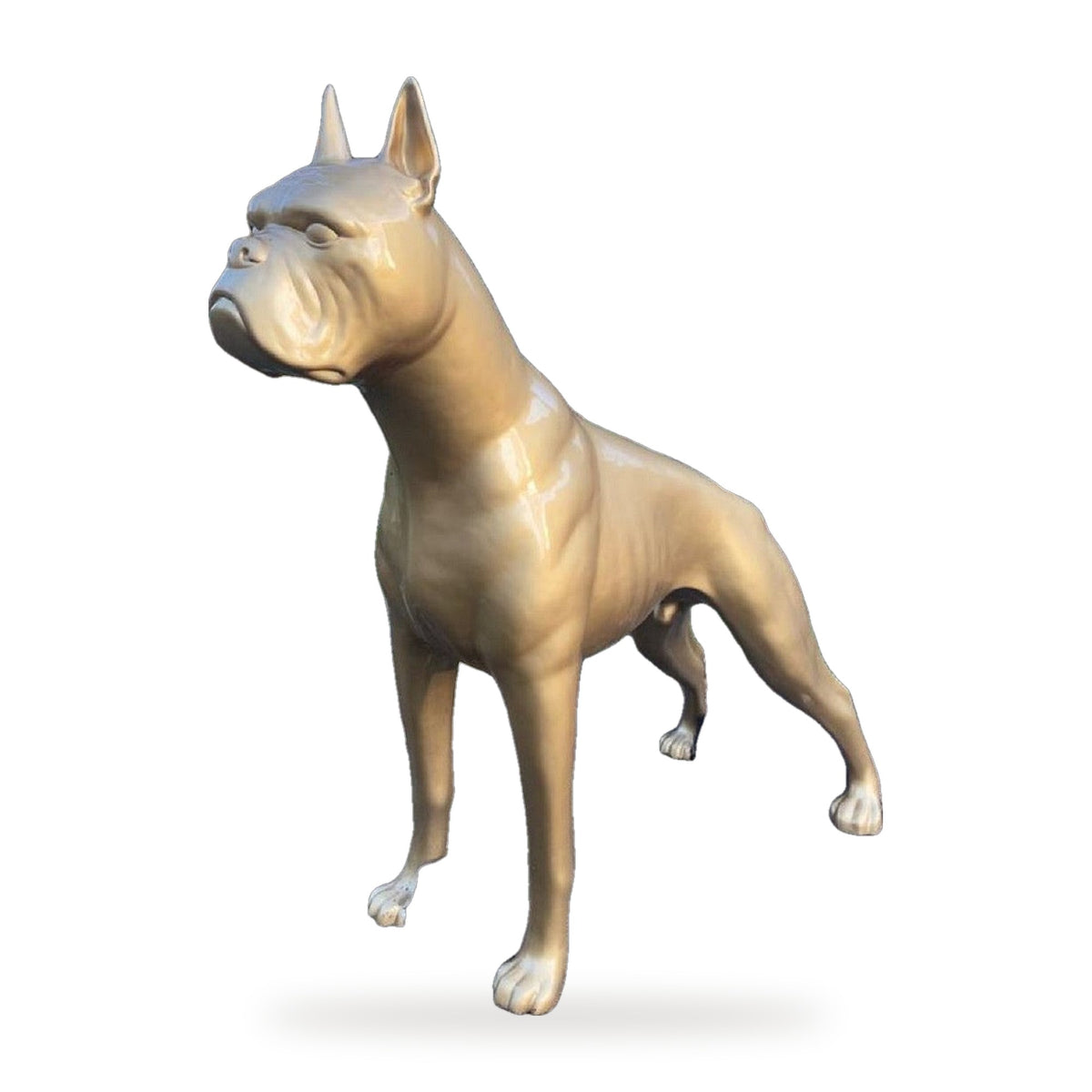 Riesige XXL Boxer Skulptur Gold 190 x H. 173 cm - Wetterbeständige Deko Gartenskulptur - Gartendeko Tierfigur Hunde Skulptur Hund (freigestellt)